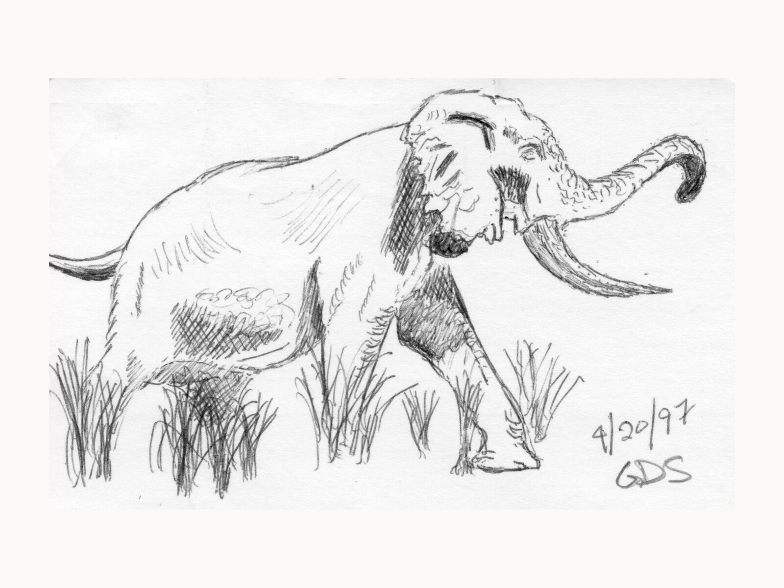 A personal doodle illustration selected for this voice.