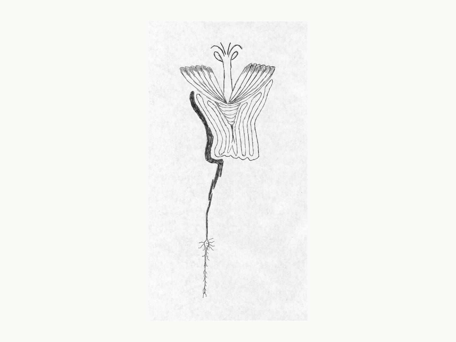 A personal doodle illustration selected for this voice.