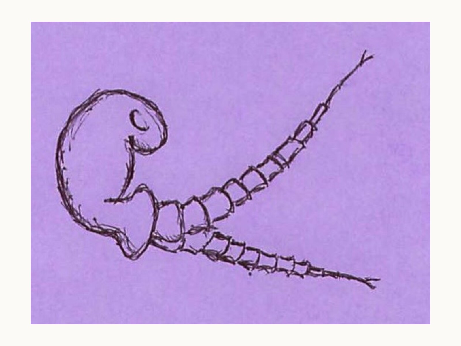 A personal doodle illustration selected for this voice.