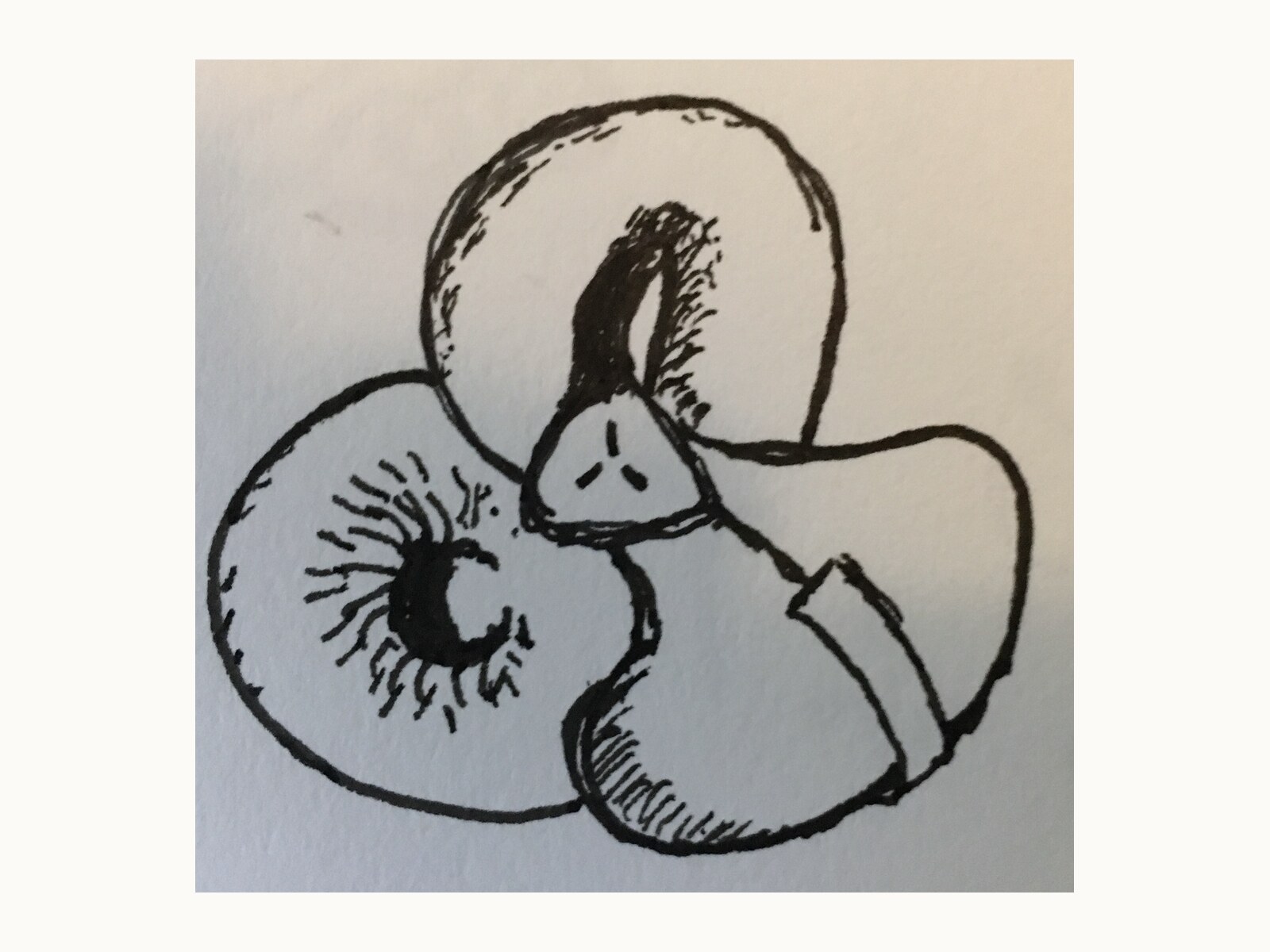 A personal doodle illustration selected for this voice.