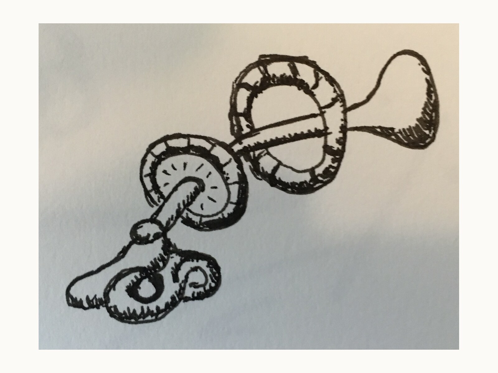A personal doodle illustration selected for this voice.